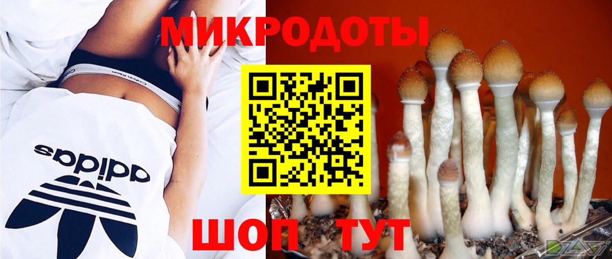 Нальчик  Псилоцибиновые грибы мухоморы  Вход с VPN 